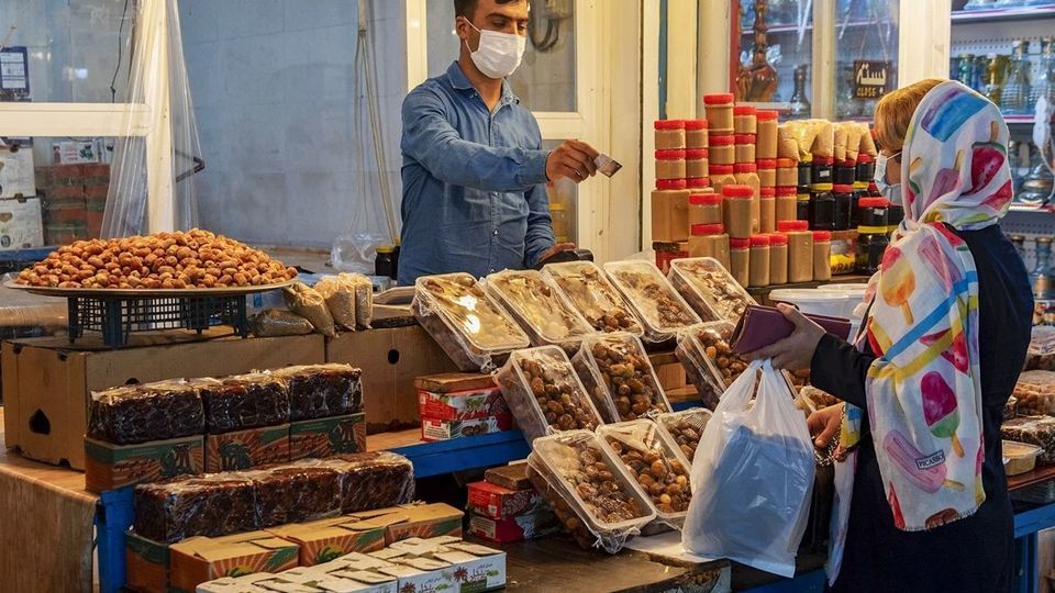 برداشت خرما از نخلستان های جنوب - بوشهر