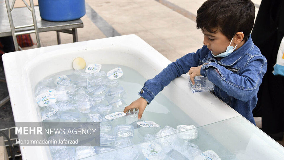 نمایشگاه رویای بهشت