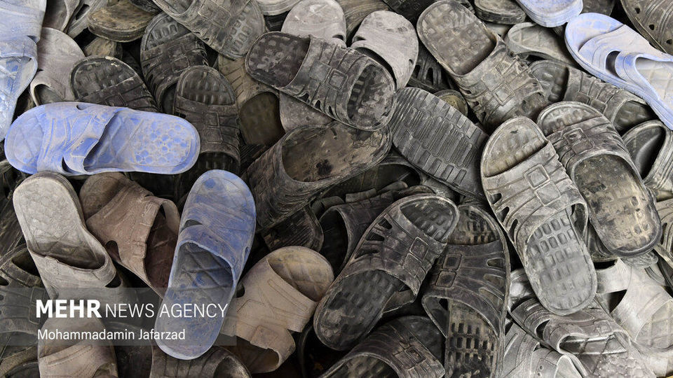 نمایشگاه رویای بهشت