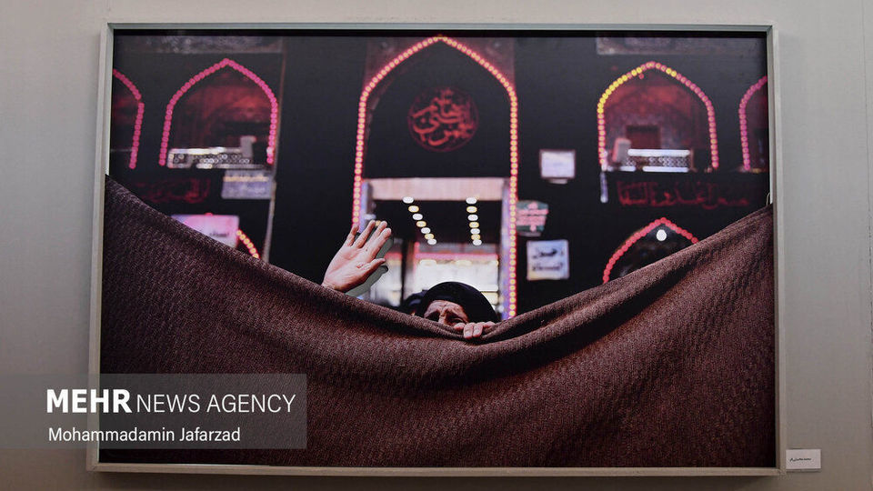 نمایشگاه رویای بهشت