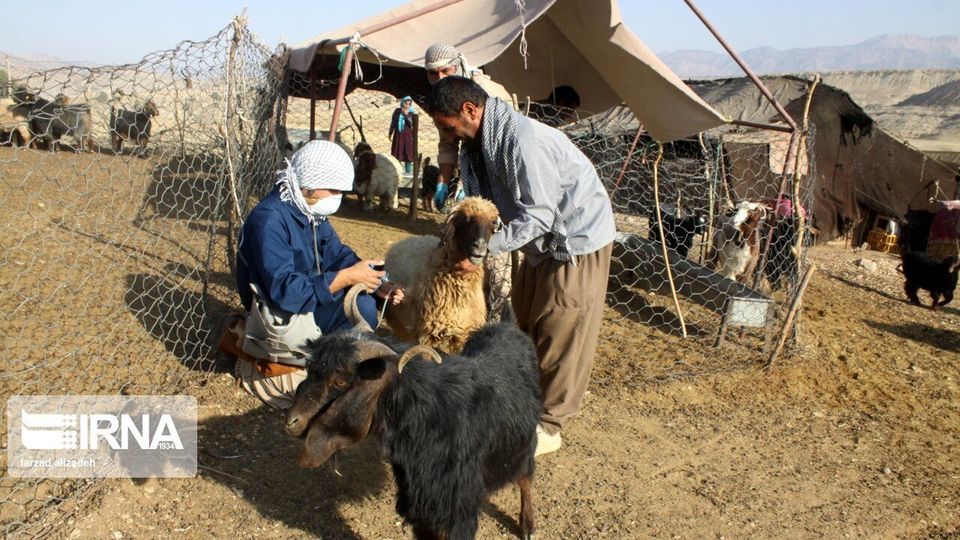 عشایر لرستان سالانه ۱۳۰ هزار تن محصولات تولید می‌کنند