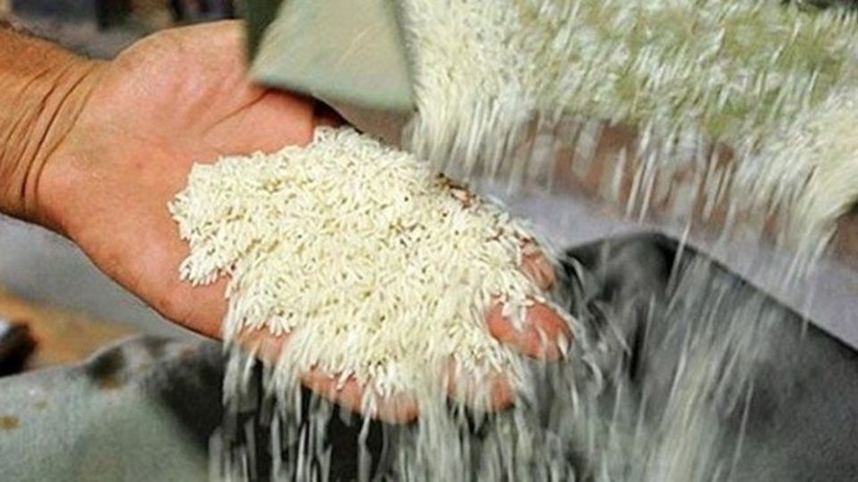 واردات ۷۱۵ هزارتن برنج در ۶ ماهه نخست امسال