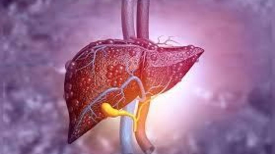 توصیه هایی برای بهبود عملکرد کبد