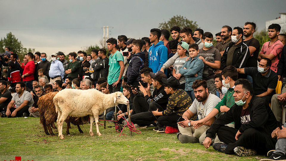 کشتی سنتی لوچو - جویبار