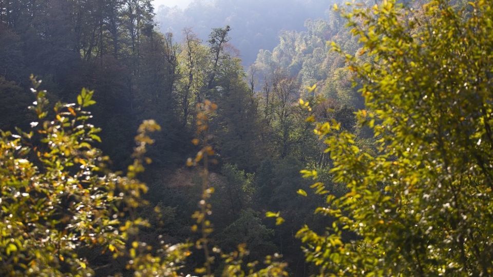 روستای شاه می‌لرزان - گیلان