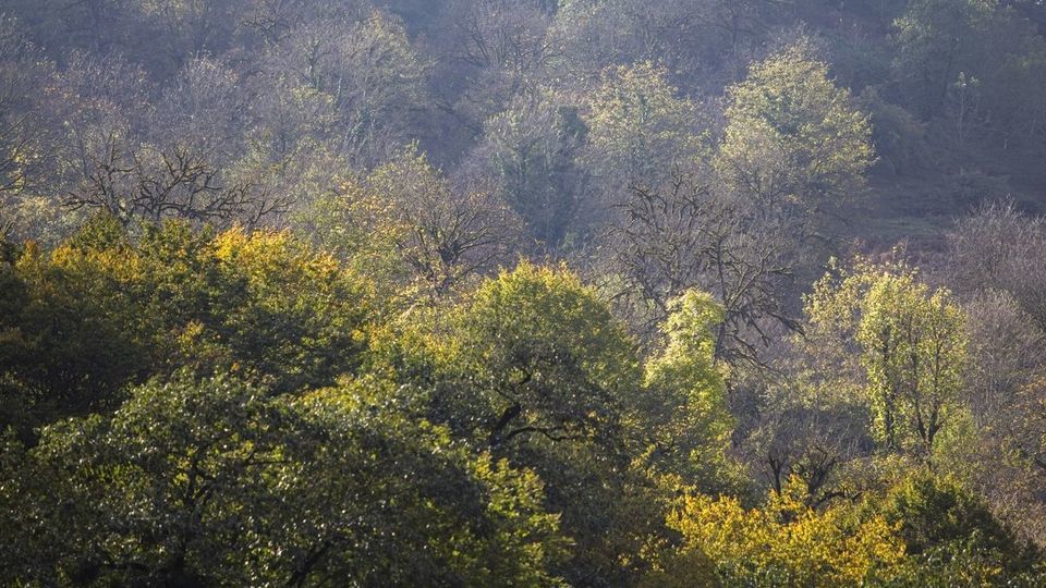 روستای شاه می‌لرزان - گیلان