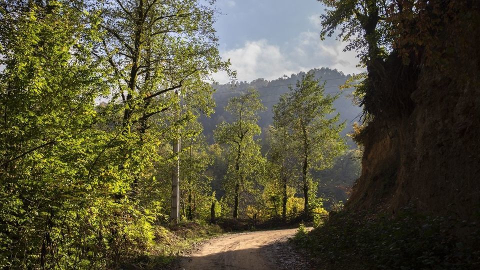 روستای شاه می‌لرزان - گیلان