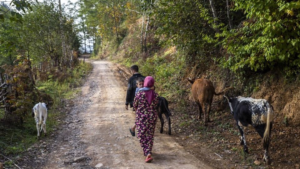 روستای شاه می‌لرزان - گیلان