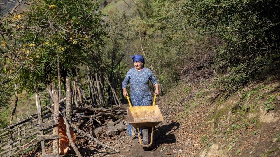 روستای شاه می‌لرزان - گیلان