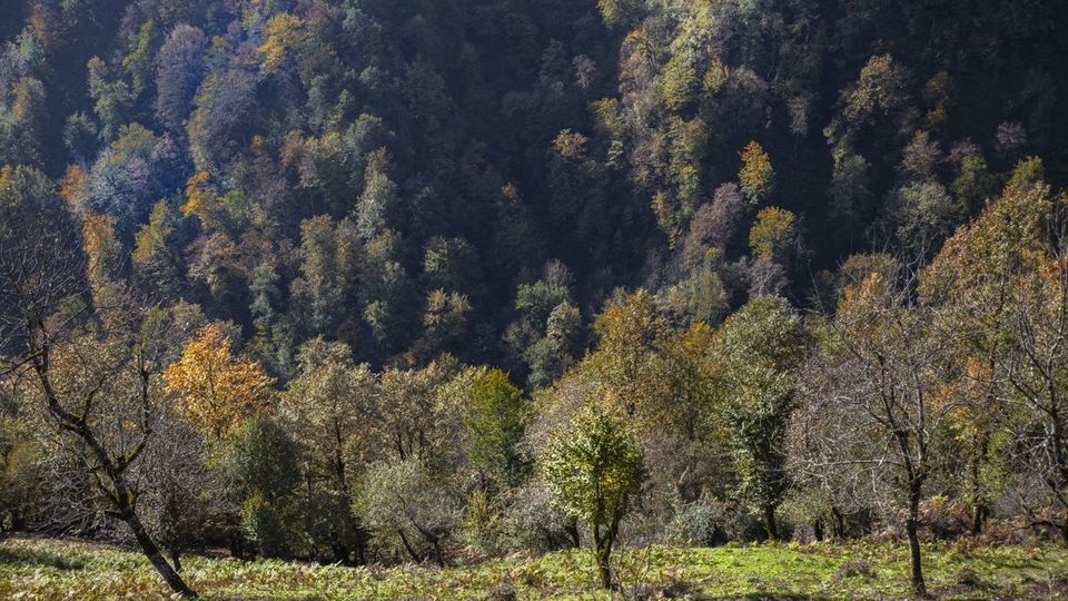 روستای شاه می‌لرزان - گیلان
