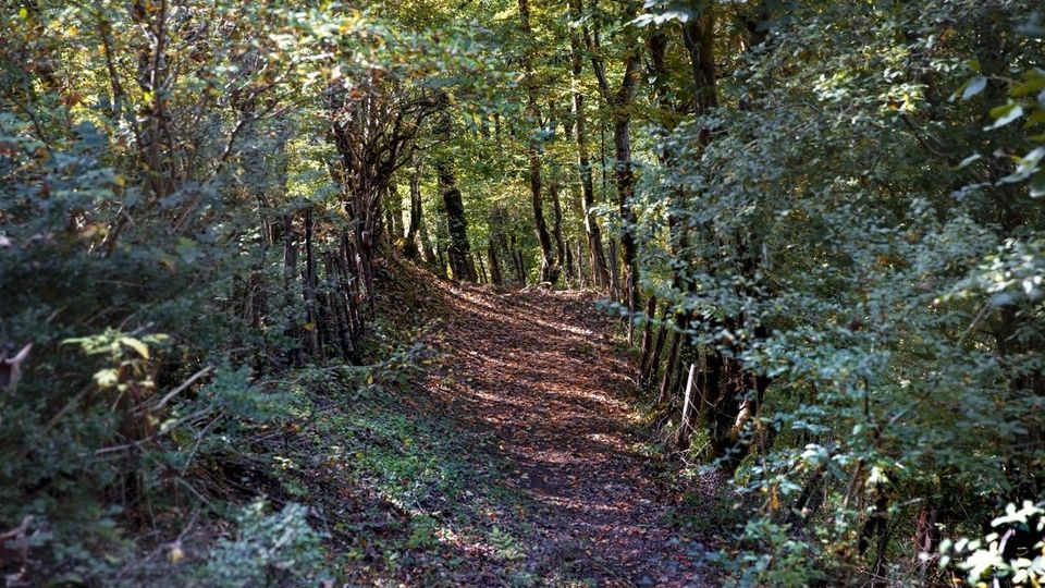 روستای شاه می‌لرزان - گیلان