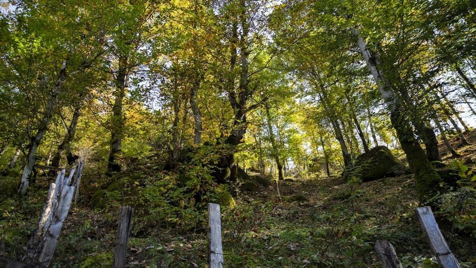 روستای شاه می‌لرزان - گیلان