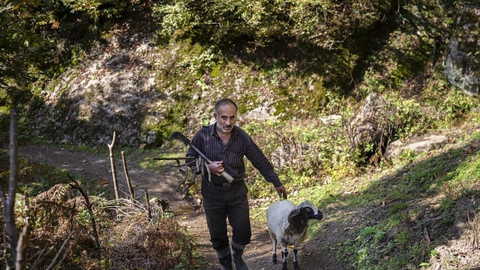 روستای شاه می‌لرزان - گیلان