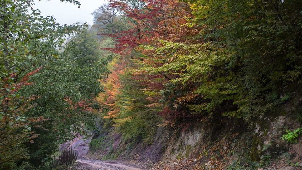 روستای شاه می‌لرزان - گیلان