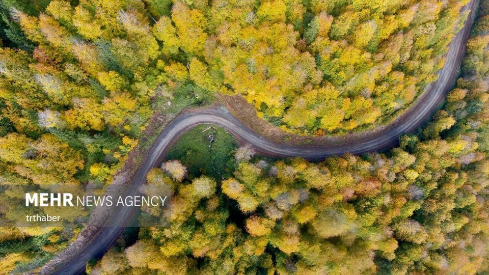 پاییز رنگارنگ در ترکیه