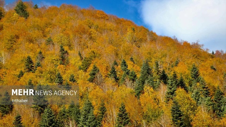 پاییز رنگارنگ در ترکیه