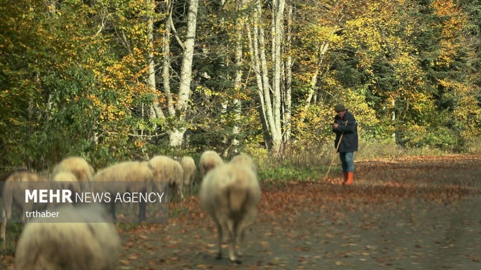 پاییز رنگارنگ در ترکیه