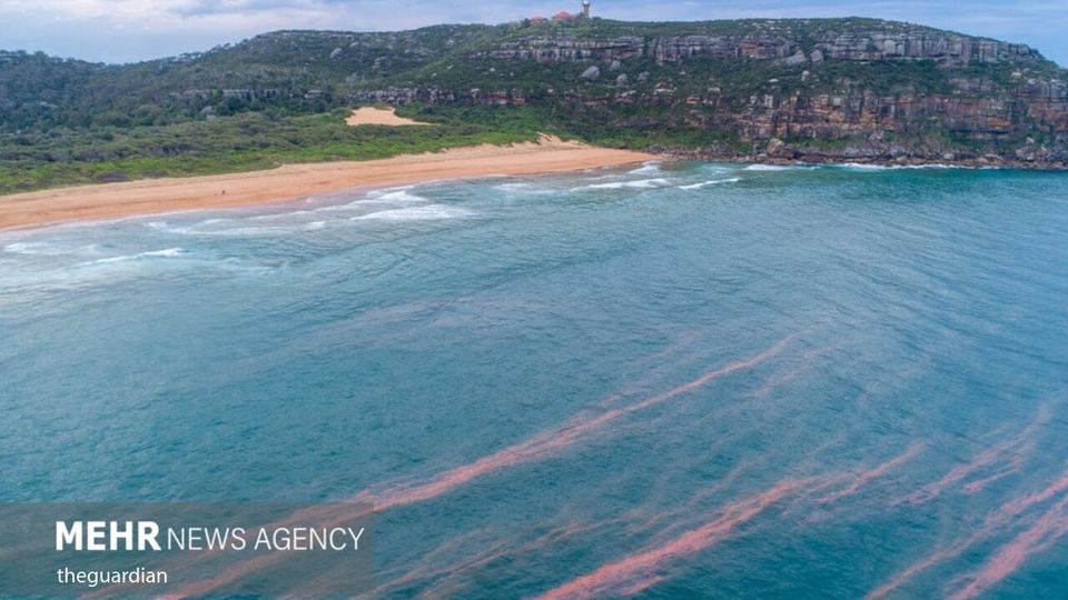 ساحلی درخشان به رنگ آبی جادویی