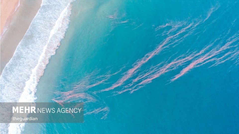 ساحلی درخشان به رنگ آبی جادویی