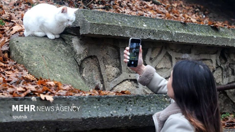 جاذبه‌های پاییزی جهان