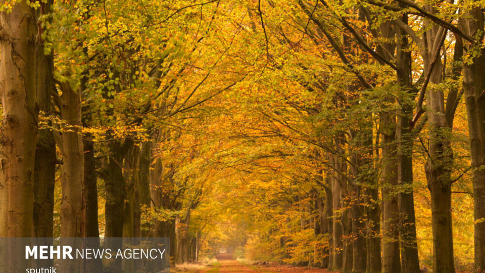 جاذبه‌های پاییزی جهان