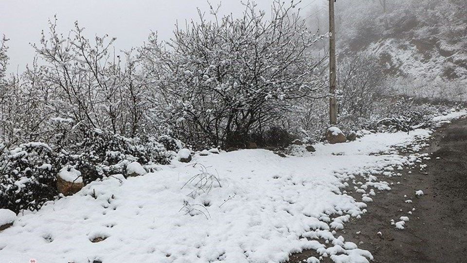 بارش برف پاییزی در اشکور رحیم آباد- گیلان