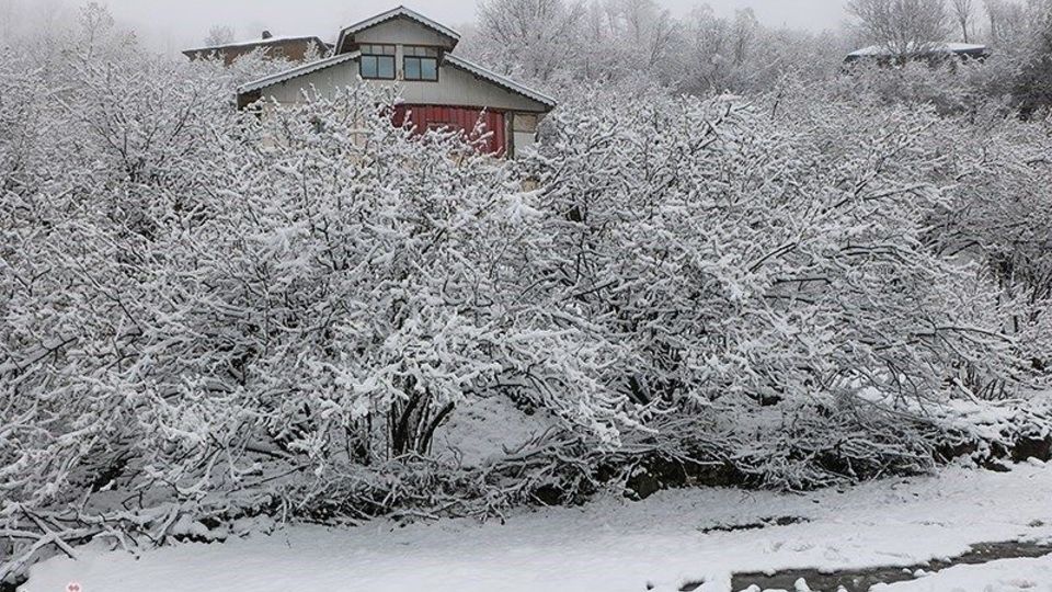 بارش برف پاییزی در اشکور رحیم آباد- گیلان