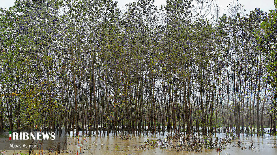 خسارت سیل در مناطق صومعه سرا