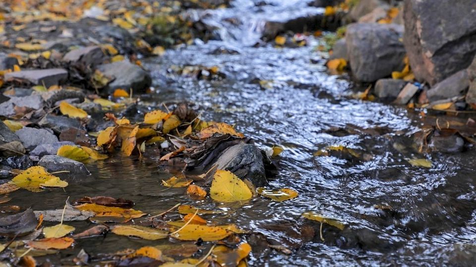 طبیعت پاییزی جاده چالوس