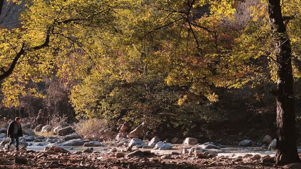 طبیعت پاییزی جاده چالوس