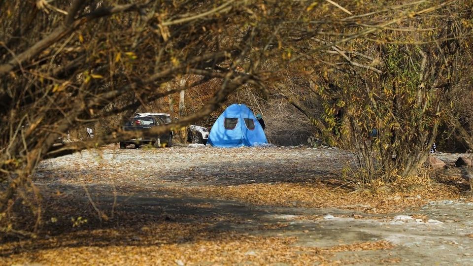 طبیعت پاییزی جاده چالوس