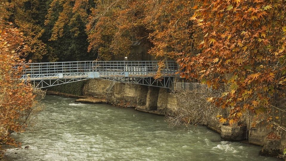 طبیعت پاییزی جاده چالوس