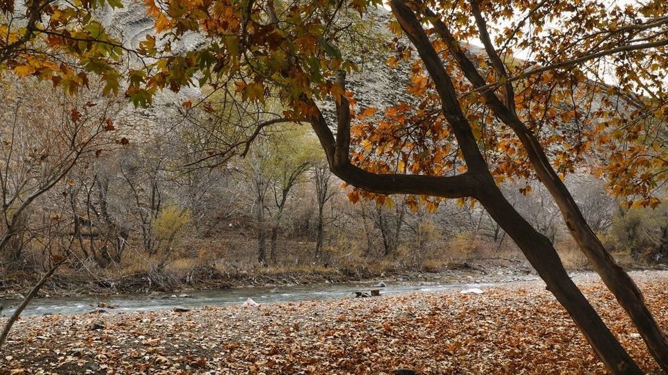 طبیعت پاییزی جاده چالوس