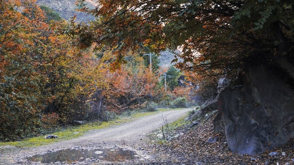 طبیعت پاییزی جاده چالوس