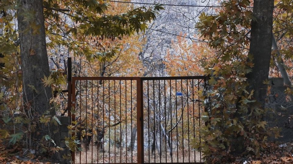 طبیعت پاییزی جاده چالوس