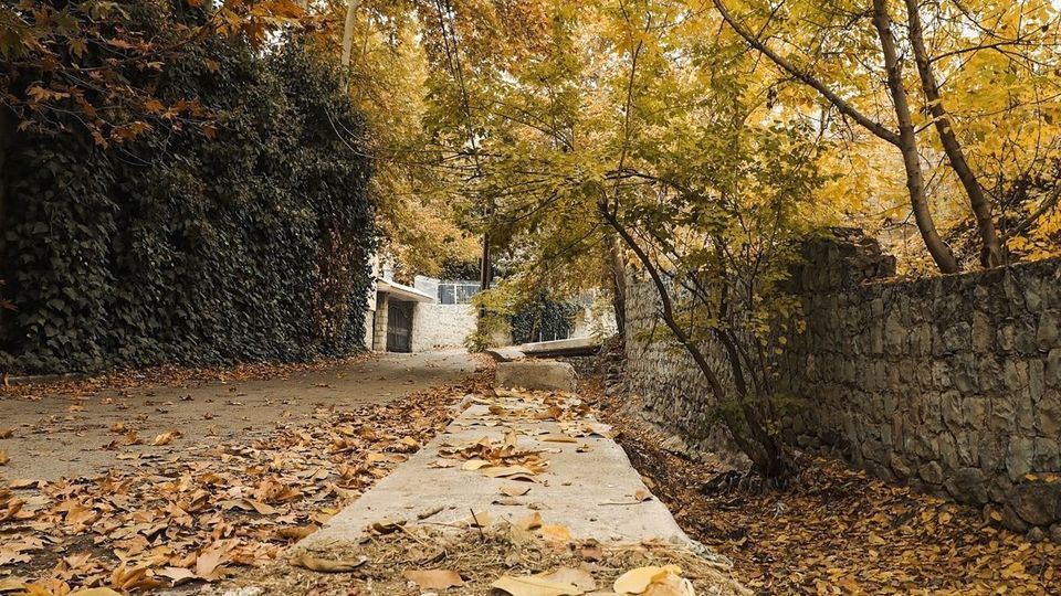 طبیعت پاییزی جاده چالوس