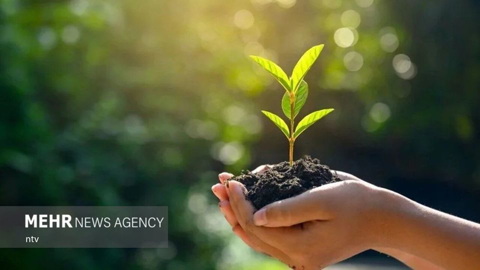 گرمایش زمین در ۱۰۰ سال آینده بحرانی مرگبارتر از کرونا