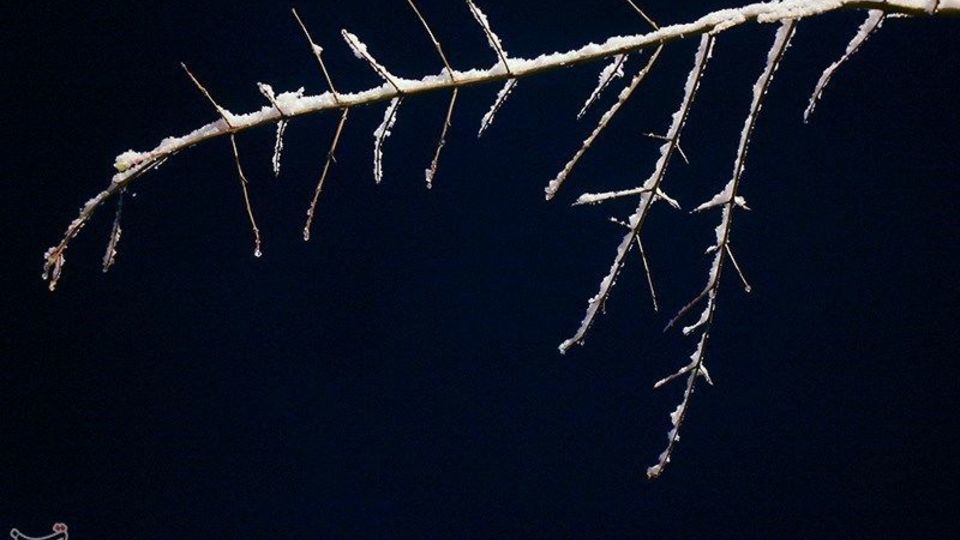 بارش برف در ماسوله