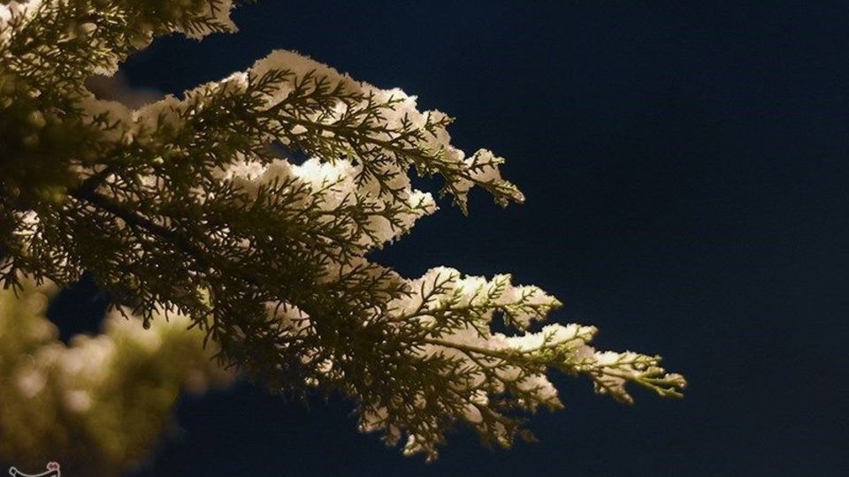 بارش برف در ماسوله