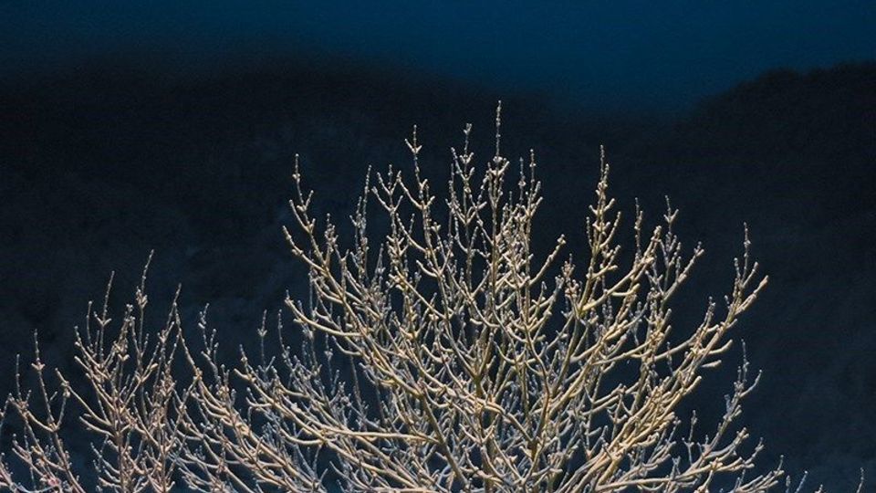 بارش برف در ماسوله