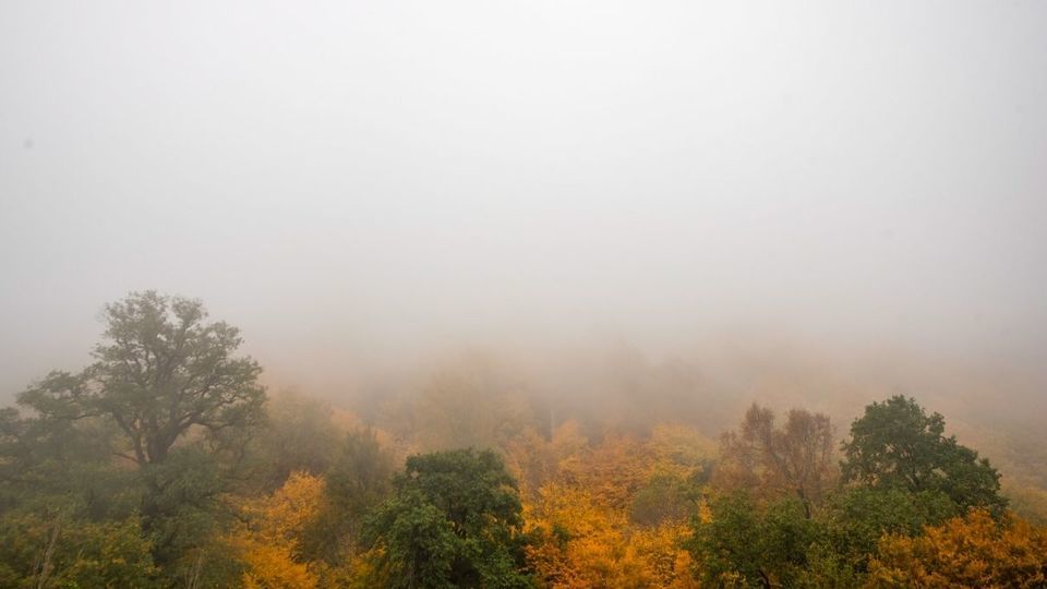 پاییز جنگل‌های هیرکانی