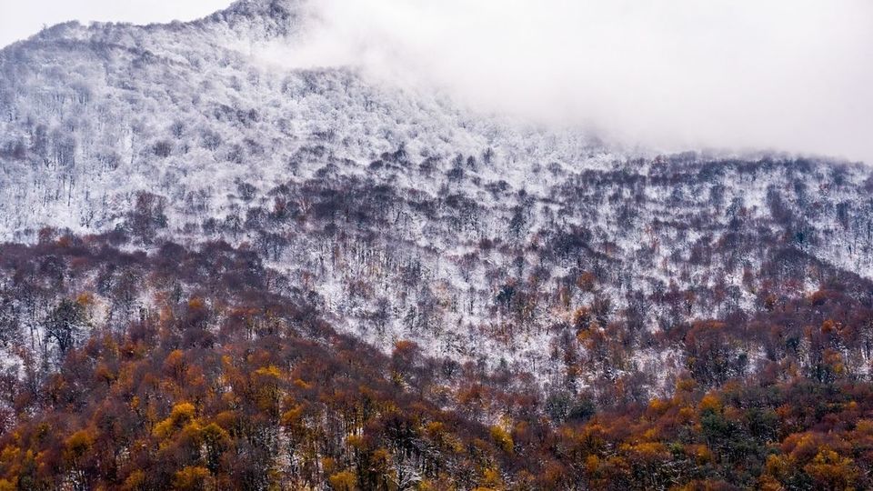 پاییز جنگل‌های هیرکانی