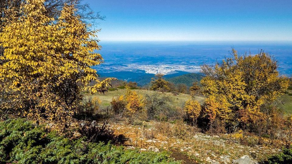 پاییز جنگل‌های هیرکانی