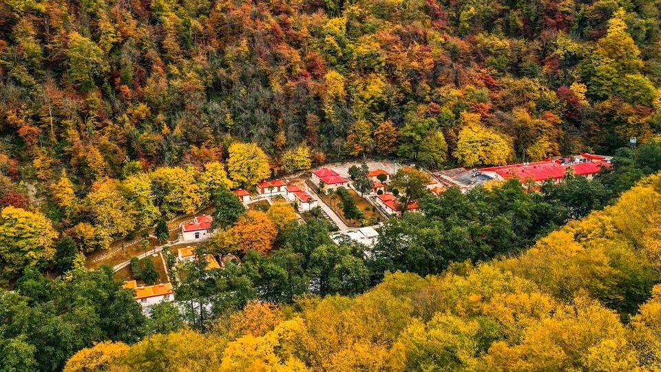 پاییز جنگل‌های هیرکانی