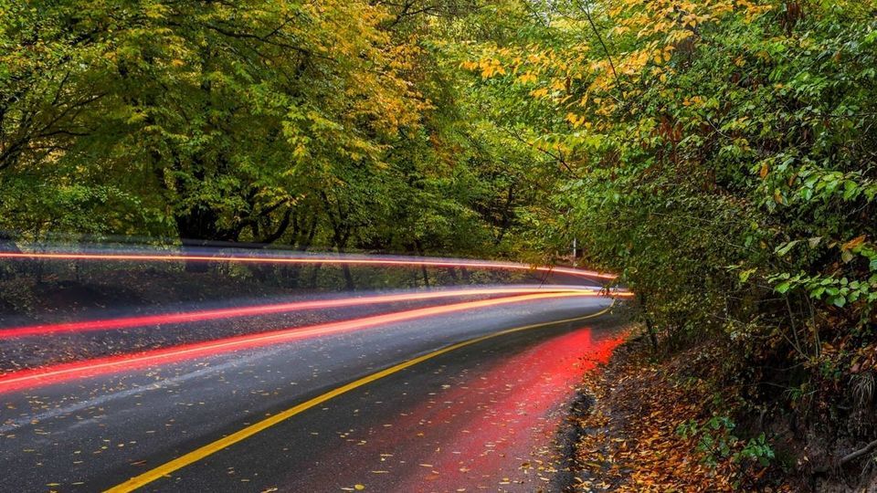 پاییز جنگل‌های هیرکانی