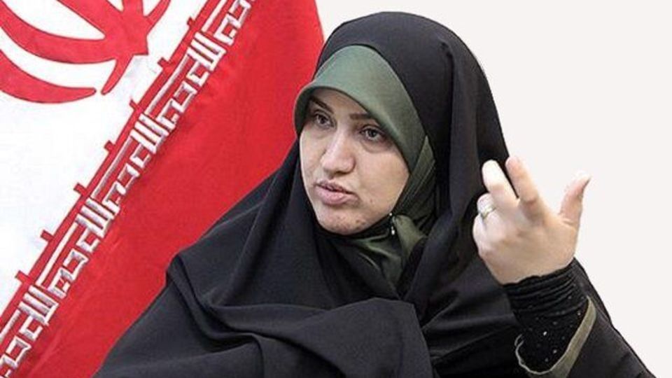 رفیعی: ناوگان دولت، دودزاترین ناوگان است