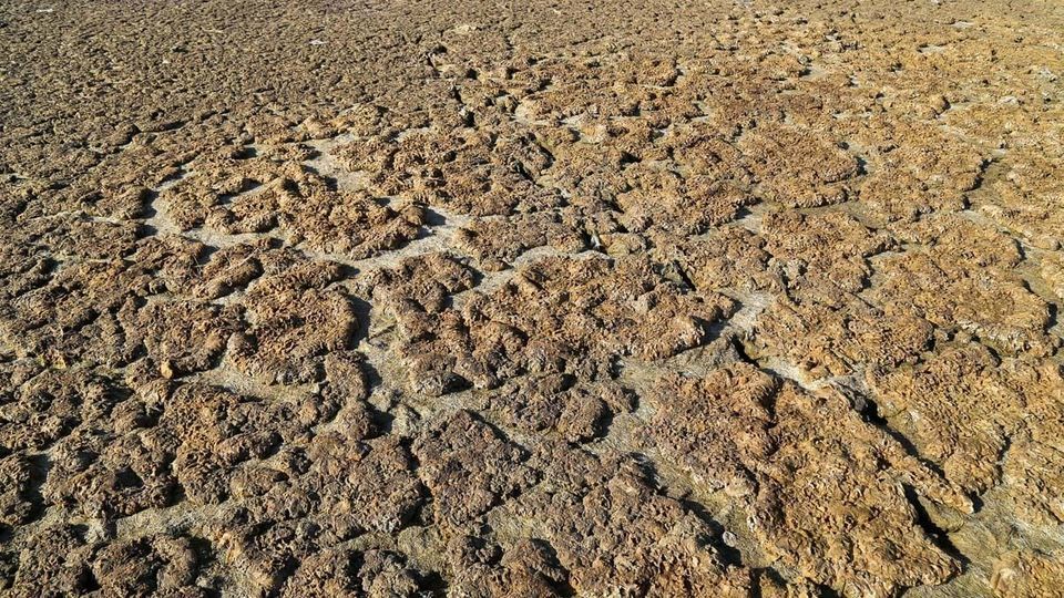 مرگ تالاب «قوری‌گل»