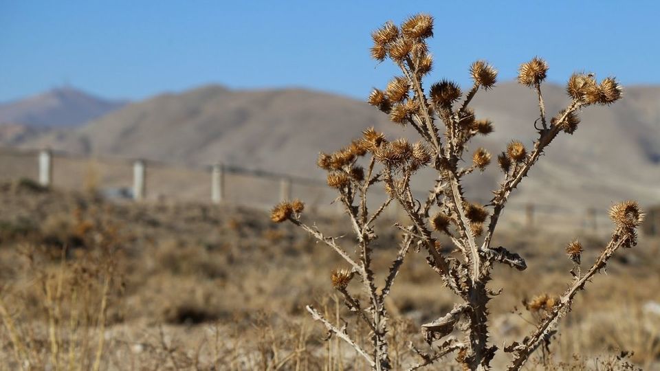 مرگ تالاب «قوری‌گل»