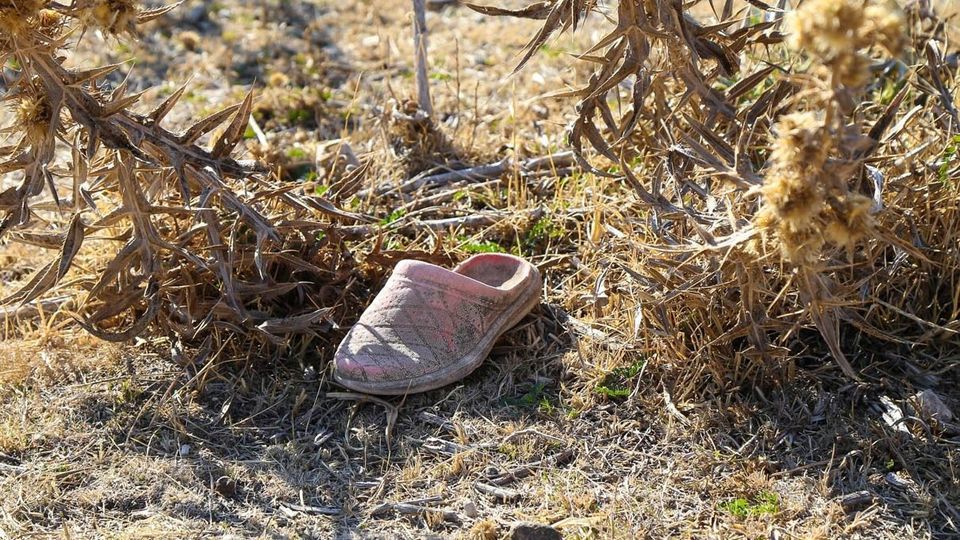 مرگ تالاب «قوری‌گل»