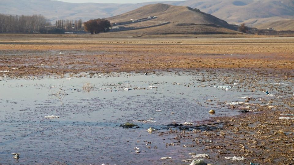 مرگ تالاب «قوری‌گل»